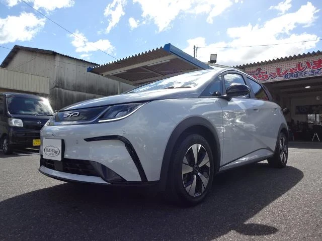 BYD DOLPHIN 62