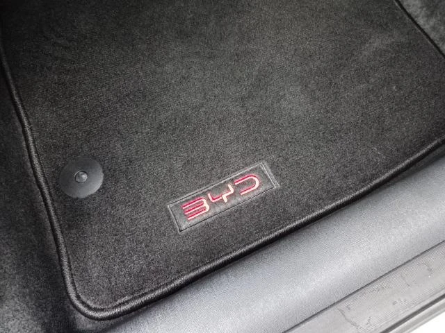 BYD DOLPHIN 30