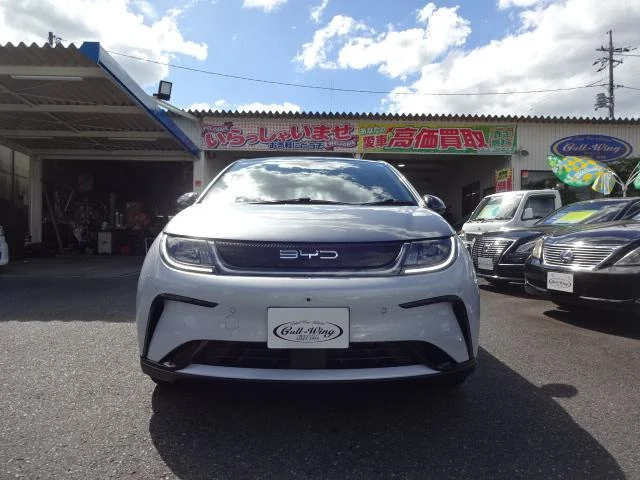 BYD DOLPHIN 2