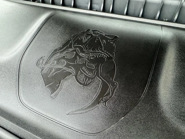 Dodge RAM 28