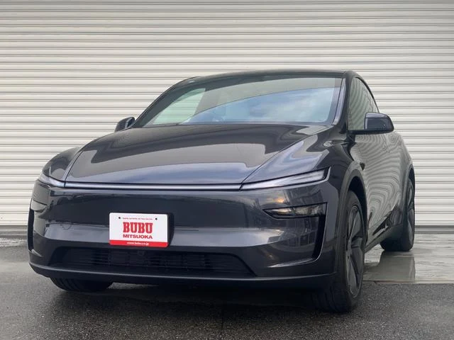 TESLA MODEL Y RWD фото 1