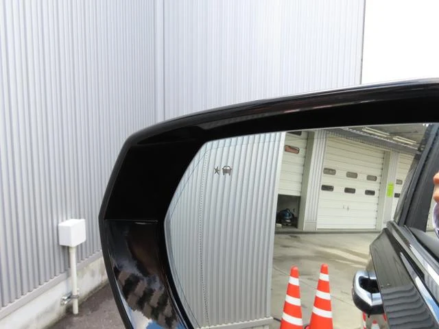Cadillac ESCALADE 9