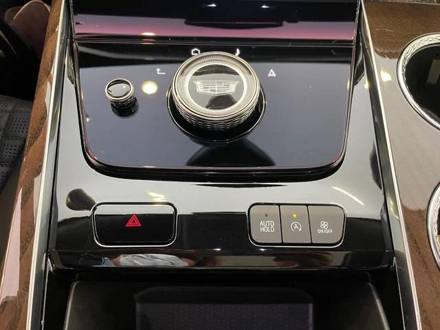Cadillac ESCALADE 51