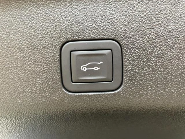 Cadillac ESCALADE 61