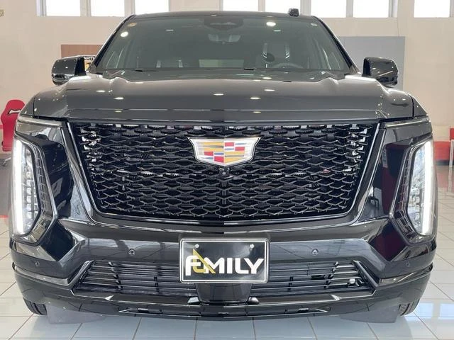 Cadillac ESCALADE 31
