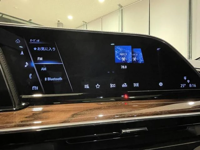 Cadillac ESCALADE 41