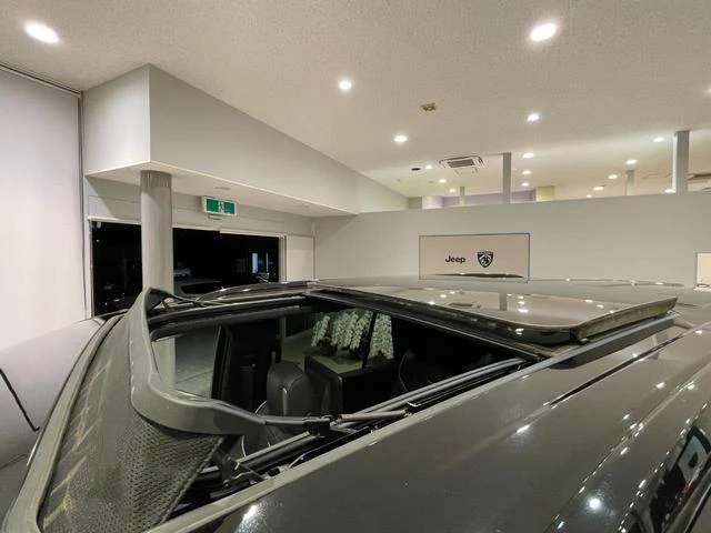 Cadillac ESCALADE 54