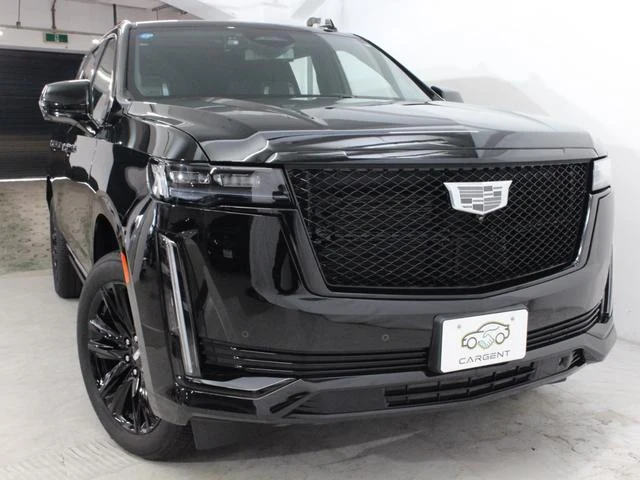 Cadillac ESCALADE 19