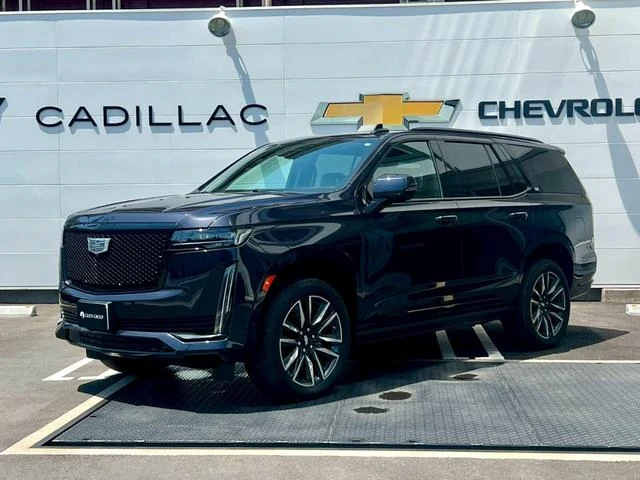 Cadillac ESCALADE 13