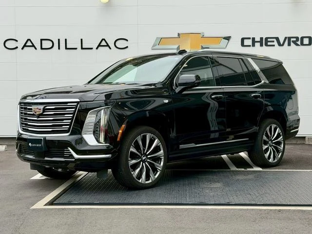 Cadillac ESCALADE 13