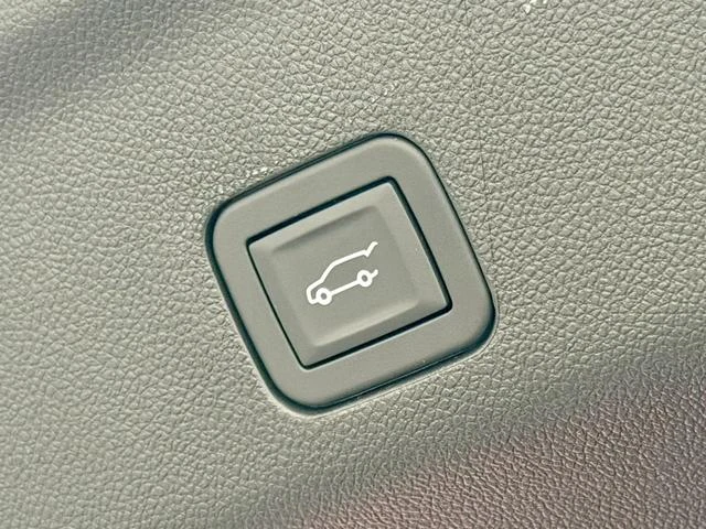 Cadillac ESCALADE 33
