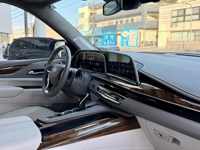 Cadillac ESCALADE 24