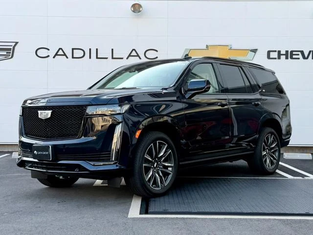 Cadillac ESCALADE 13