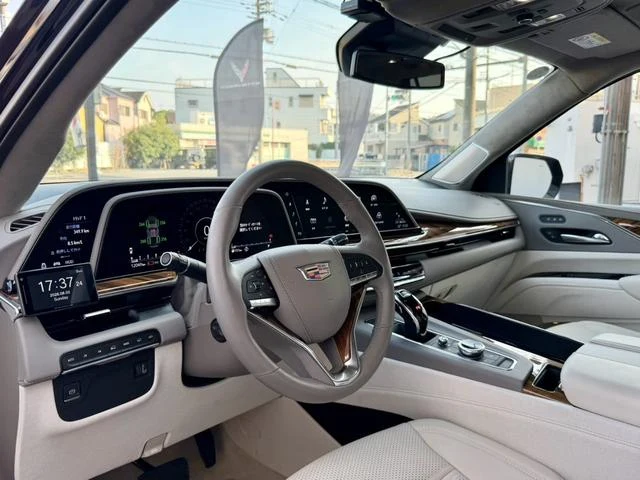 Cadillac ESCALADE 22