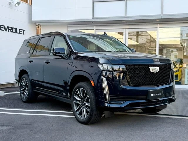 Cadillac ESCALADE 72