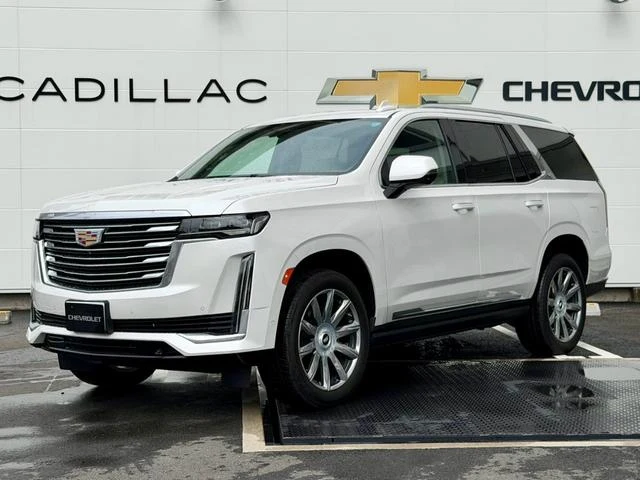 Cadillac ESCALADE 12