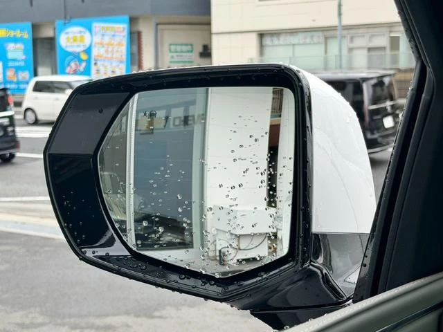 Cadillac ESCALADE 59