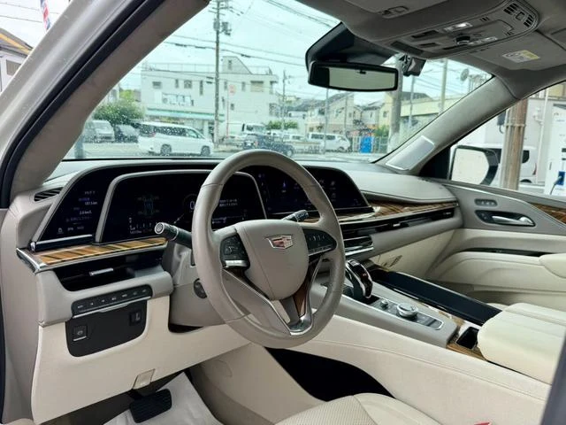 Cadillac ESCALADE 19