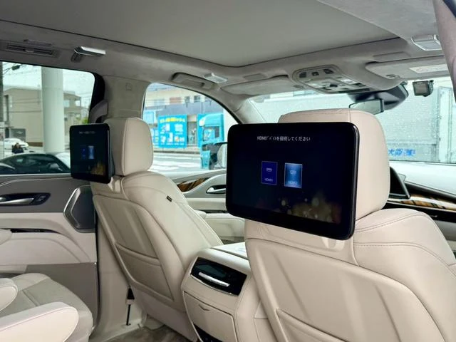 Cadillac ESCALADE 23