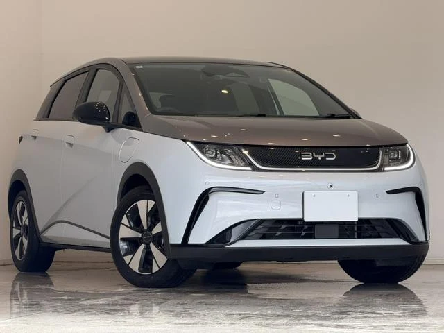 BYD DOLPHIN 52