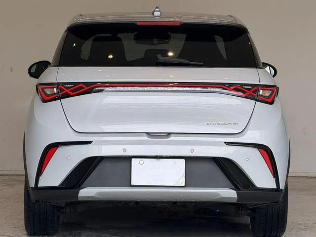BYD DOLPHIN 61