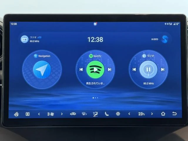 BYD DOLPHIN 34
