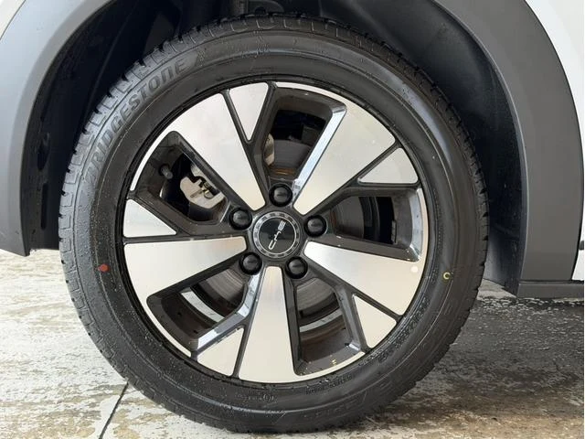 BYD DOLPHIN 21