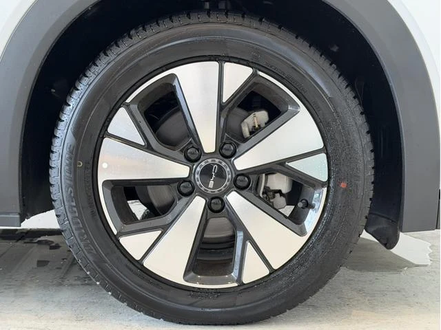 BYD DOLPHIN 64