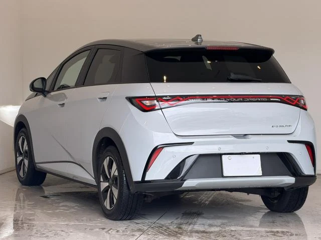 BYD DOLPHIN 60