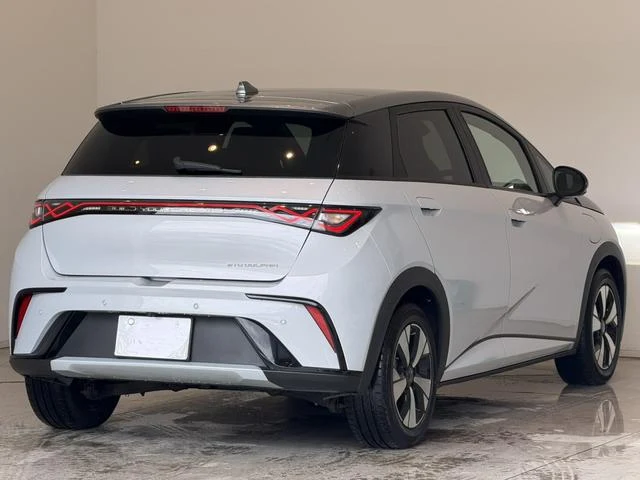 BYD DOLPHIN 18