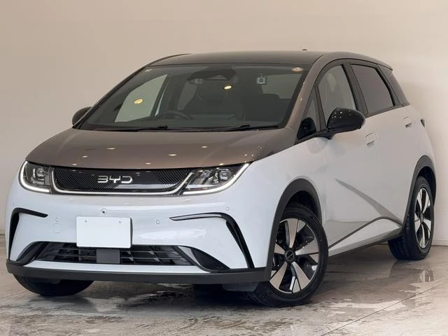 BYD DOLPHIN 15