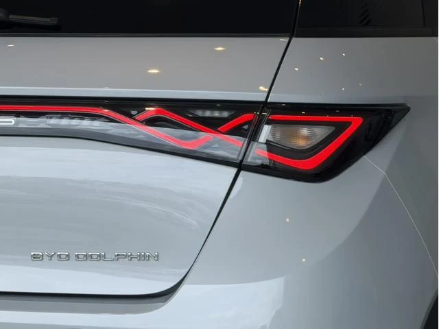 BYD DOLPHIN 19