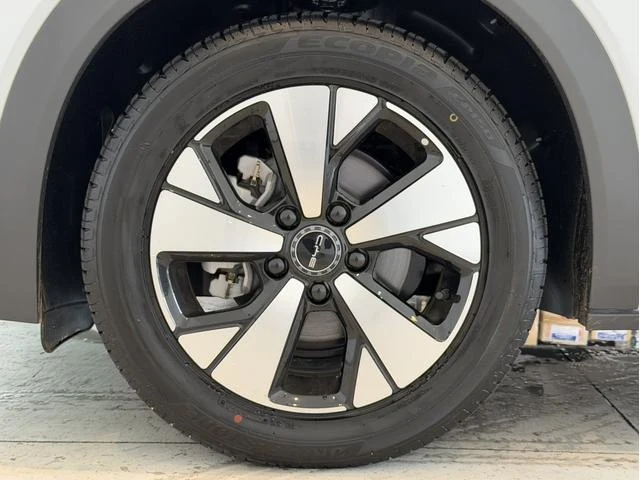 BYD DOLPHIN 67