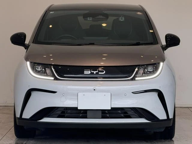 BYD DOLPHIN 55