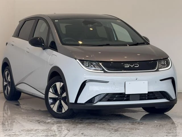 BYD DOLPHIN 9