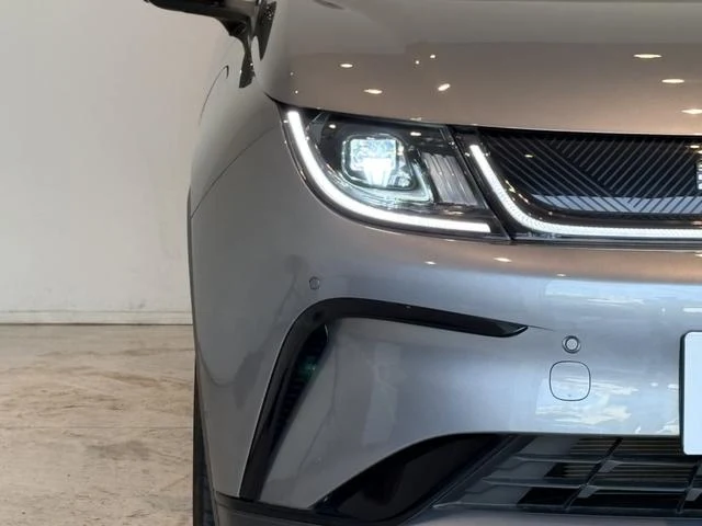 BYD DOLPHIN 47