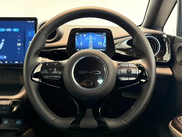 BYD DOLPHIN 60
