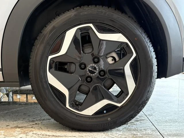 BYD DOLPHIN 19