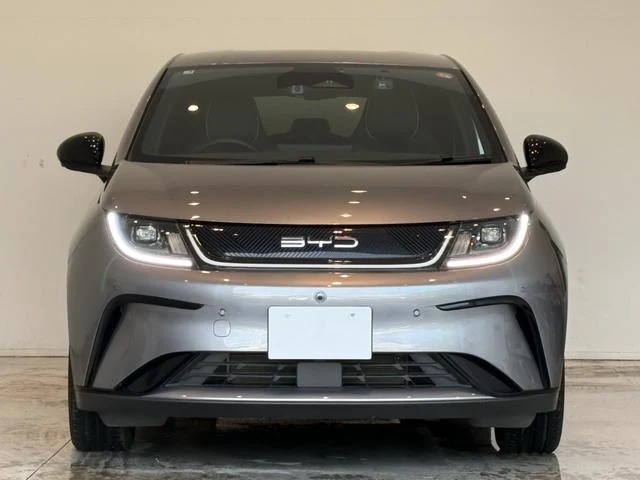 BYD DOLPHIN 8