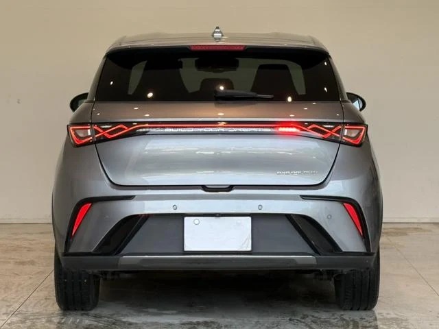 BYD DOLPHIN 51