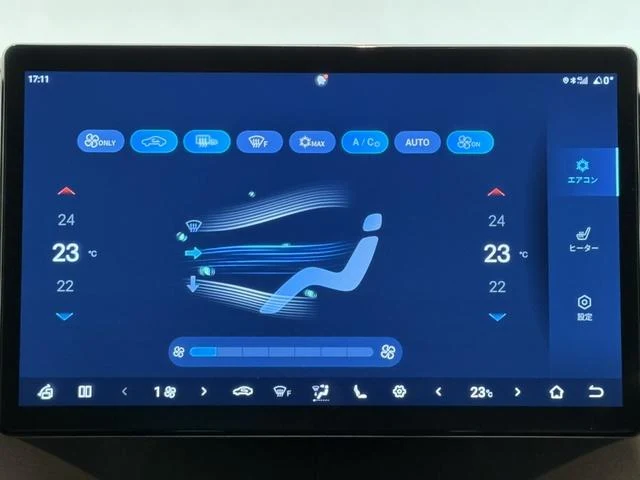 BYD DOLPHIN 66