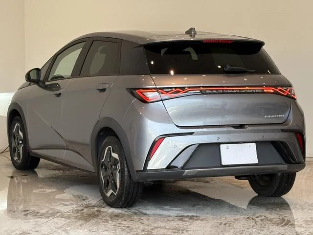 BYD DOLPHIN 13