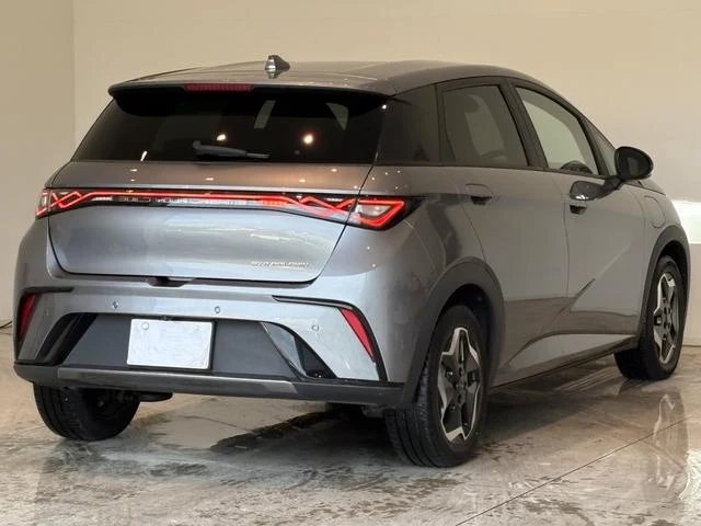 BYD DOLPHIN 15