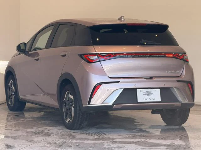 BYD DOLPHIN 49