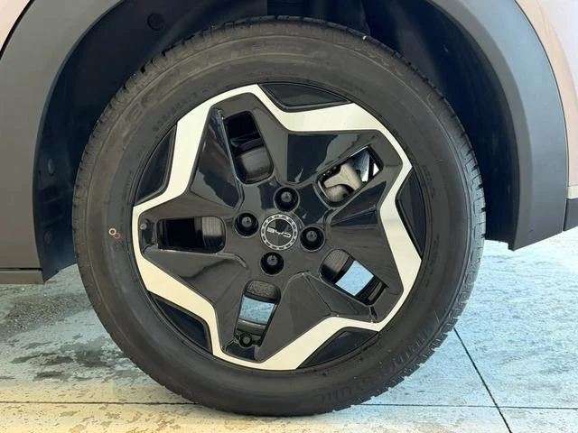 BYD DOLPHIN 53