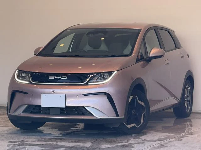 BYD DOLPHIN 48
