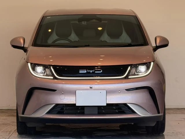 BYD DOLPHIN 9