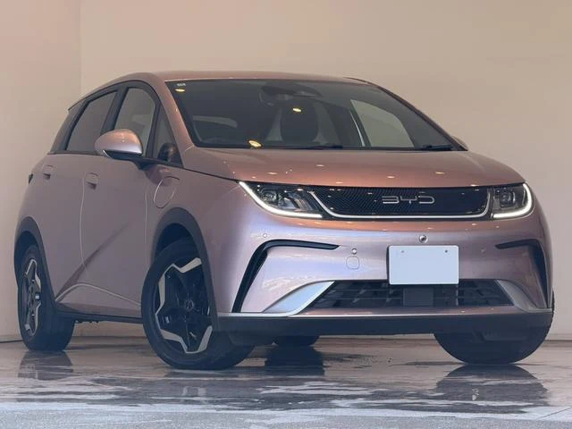 BYD DOLPHIN 43