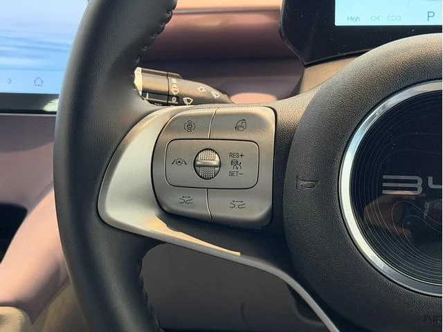 BYD DOLPHIN 58