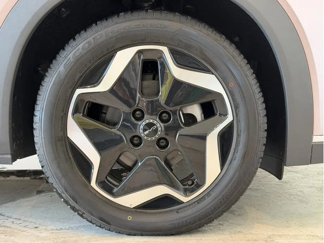 BYD DOLPHIN 15